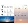 solar led street light/led garden light 30W 40W 50W 60W 80W 100W with solar panel system